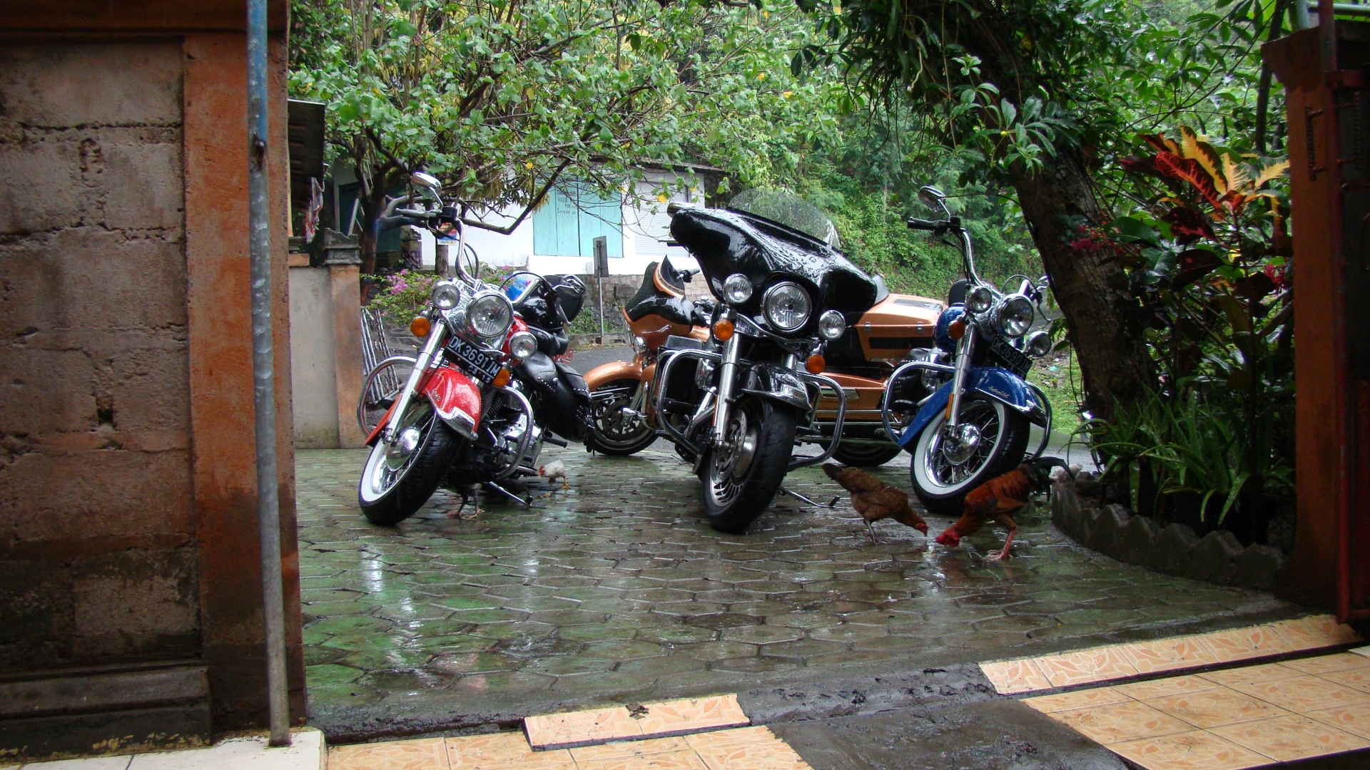 November 2011 - Indonesien - Insel Bali - Harley Tour